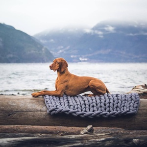 Coton tricoté petit et XL lit pour animaux de compagnie confortable et confortable <span class=keywords><strong>chien</strong></span> chat nid tissé Animal solide motif <span class=keywords><strong>panier</strong></span> chauffant petit animal nid - Product Image 2