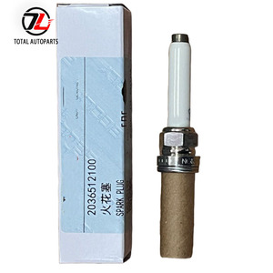 Busi OEM 2036512100 8888481298 untuk Gee-ly Cool-ray SX11 Pro-ton X50 Bel-gee X50 1.5T - Product Image 5