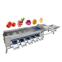 Automatische Jujube En Dadels Vruchtensap Siroop Verwerkingslijn Apple Sorteerder Groente Sorteermachine Voor Aardappel