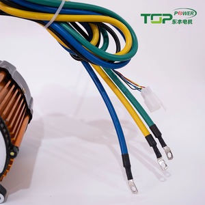 1000W 48VブラシレスDC正弦波<span class=keywords><strong>BLDC</strong></span>ギアモーター 電動リキシャ用 IP54防水 永久磁石構造 88%効率 - Product Image 4