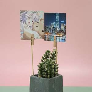 Épingles <span class=keywords><strong>à</strong></span> <span class=keywords><strong>linge</strong></span> en bois naturel épaissies écologiques pour le bricolage artisanal et le maintien du <span class=keywords><strong>linge</strong></span> - Product Image 6