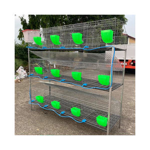 Büyük kapasiteli yumurta için pil kafesleri katmanları ticari tavşan kafesleri için ücretsiz kargo - Product Image 1