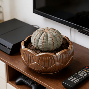 Pots en céramique émaillée en terre cuite grossière avec trou de drainage pour plantes succulentes et fougères asperges - Jardinières de bureau écologiques et durables - Product Image 5