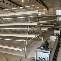 Cage à volailles de type A à 3 niveaux, capacité de 96 oiseaux pour la production d'œufs
