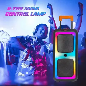 כפול 8 אינץ' איכות טובה חדש סאונד מקצועי 40W EQ מסיבה ניידת עגלה אלחוטית עוצמה גבוהה רמקול גדול בלוטות' - Product Image 5