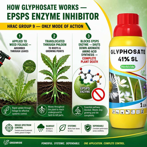 <span class=keywords><strong>Herbicida</strong></span> Líquido GREENRIVER Glifosato 41% SL, 41% por Galón, Spray Eliminador de Malezas, CAS 1071-83-6 - Product Image 4