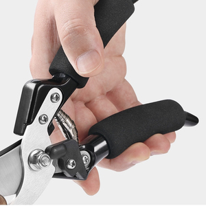 <span class=keywords><strong>Vendita</strong></span> calda strumenti a mano <span class=keywords><strong>da</strong></span> giardino in acciaio inox innesto cesoie <span class=keywords><strong>da</strong></span> potatura forbici <span class=keywords><strong>da</strong></span> giardino - Product Image 4