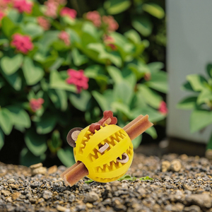 Trong Kho Thân Thiện Với Môi Phim Hoạt Hình Vật Nuôi Chew Đồ Chơi Cắn Chống Răng Răng Răng Làm Sạch Dưa Hấu Câu Đố Bóng Con Chó Đồ Chơi - Product Image 6