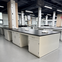 Îlot de laboratoire sur mesure tout acier avec colonne de service, évier, station de lavage des yeux et support à réactifs