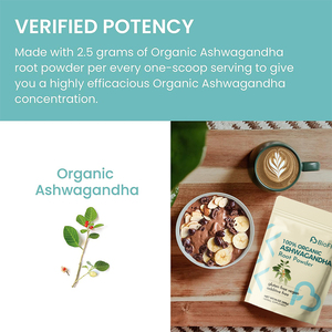 Üstün Aşvaganda Ekstresi Tozu Bağışıklık Destek Formülü Ayurveda Bitkisi Enerji ve Dayanıklılık Artırıcı - Product Image 5