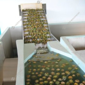 Usine de production de jus d'ananas entièrement automatisée, prix d'usine personnalisé <span class=keywords><strong>Lazen</strong></span> - Product Image 4