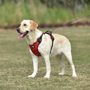 Arnés reflectante para perros K personalizado de lujo Arnés de nailon sin tirones de calidad XS con patrón impreso de característica Breakaway - Product Image 6