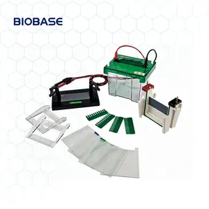 Biobase eletrophoresis ET-V1 da china vertical com fonte de alimentação