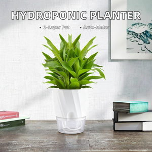 Maceta Hidropónica Moderna de Doble Capa con Autorriego Rourke, Maceta Transparente de Plástico PP para Bonsái, Maceta de Escritorio con Entrada de Agua - Product Image 2
