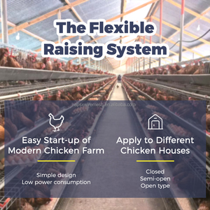 Galvanizli pil kafesleri katman tavuk tavuk çiftliği ekipmanları döşeme tavuklar yumurta yetiştiriciliği sistemi hayvan tavuk kafesi satılık - Product Image 6