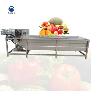 Équipement de nettoyage industriel de fruits Laveuse de tomates laitues Machine à laver les légumes feuilles