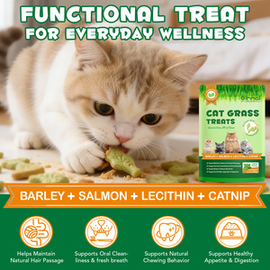 Friandises à la saveur de saumon Oimmal pour chats, emballage personnalisé, friandises poreuses pour la santé des poils, de la peau et du pelage, nourriture pour chats âgés de plus de 3 mois - Product Image 5