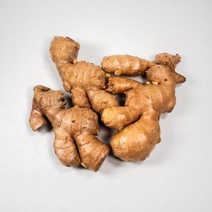 Raíz de Jengibre Congelada IQF de Calidad de Exportación HP Valia Grado A, 12 Meses de Vida Útil, a Granel, para Cocina Casera y Procesamiento Industrial de Alimentos, India - Product Image 4