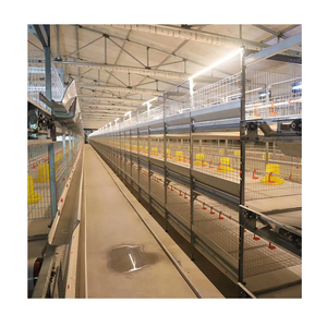 Nuevo sistema de jaulas para pollos de engorde tipo H, granja avícola de batería de 4 niveles y 2 puertas, con cinta transportadora de estiércol de acero galvanizado en frío - Product Image 6