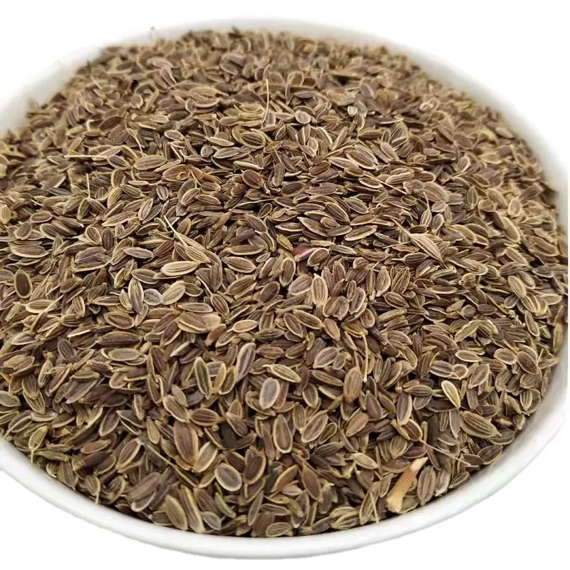 Spice Supplier Wholesale High Quality Low Price of Dried Dill Seeds dry dill seed
