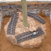 Kit d'ancrage de boule de racine, ancre à bascule de type bec de canard avec coussinets de protection pour la stabilisation des boules de racine d'arbres et de palmiers, aménagement paysager