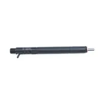 Injecteur de carburant diesel Common Rail OEM en acier inoxydable de haute qualité, neuf, EJBR04401D A6650170221, ajustement universel, au meilleur prix