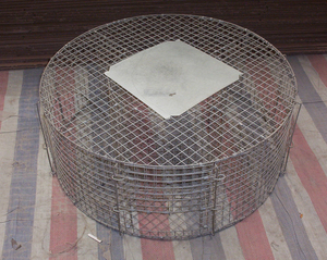 Goedkope Liebang Live Vogel Vallen voor Magpies Duiven Crows Mussen voor Sales - Product Image 6