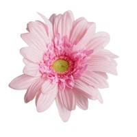 Bunga Gerbera Sutra Sentuhan Realistis dengan Efek Lembap untuk Dekorasi Rumah & Pernikahan Indoor/Outdoor