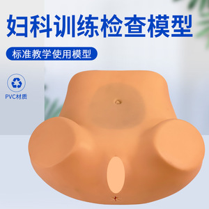 Modèle de formation avancé pour l'examen gynécologique interne ; modèle d'examen féminin ; modèle de formation maternelle et infantile - Product Image 2
