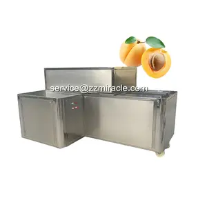 Máquina de ameixas secas de azeitona