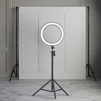 Anneau lumineux LED professionnel pour studio photo avec filtre, miroir et trépied – Lampe annulaire LED pour la photographie