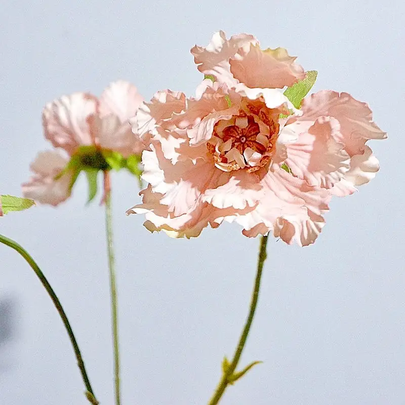 Flores artificiais de seda rosa, de alta qualidade, scabiosa atropurpurea para decorações de casamento