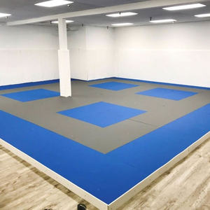 Rembourrage mural de salle de sport directement de l'usine, rembourrage personnalisé pour salle de taekwondo - Product Image 2