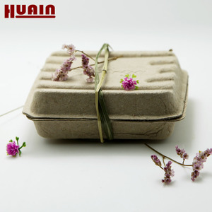 Molded Paper Box Eco Friendly Paper Pulp Seeding Box Molded Paper Box