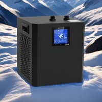 Petit refroidisseur de bain de glace 1/3HP, machine commerciale froide à eau plongeante, avec pompe filtrante
