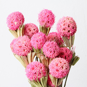 Boule de fleurs séchées immortelles et magnifiques, passe-partout pour la décoration de la maison - Product Image 5