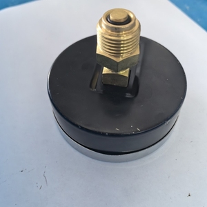 SONGLIN Mount <strong>Pressure</strong> <strong>Gauges</strong> With Front Flange <strong>Price</strong> Favorable OEM - Product Image 4
