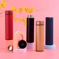 Bouteilles d'eau de 17 oz, tasse à café à double paroi chaude et froide, vente en gros, anti-fuite, portable, en acier inoxydable, écologique, bouteille à infuseur à thé
