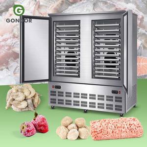 Pequeño Enfriador y Congelador Industrial Italiano de Acero Inoxidable 10x10 Económico para Mariscos, Equipo IQF - Product Image 1