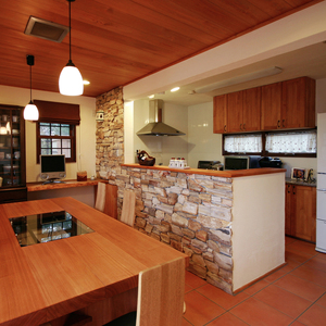 Đá tự nhiên hóa đá cho tường Ốp - Product Image 6