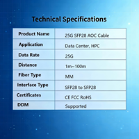 Câble Optique Actif SFP28 25G AOC Full-duplex Prix de Gros 1m 2m 3m avec Fonctions de Diagnostic Numérique Intégrées Faible Interférence 5G