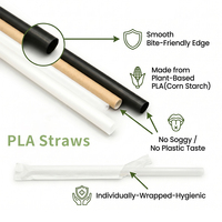 Pailles en PLA 100% compostables, pailles écologiques biodégradables pour boissons froides, emballées individuellement