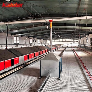 Nido para Huevos de Gallina Grande Kaleter, Gran Venta, Precio de Fábrica - Product Image 4