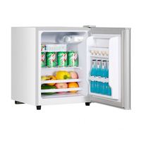 Mini-réfrigérateur professionnel 45L en acier inoxydable, à faible consommation d'énergie, silencieux, avec porte pleine, pour usage domestique et hôtelier, prise en charge de la langue française