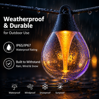 Guirlandes lumineuses de Noël intelligentes Rgbw pour l'extérieur, étanches IP67, ampoules G60 en forme de pomme, pour le jardin, le camping, l'ambiance
