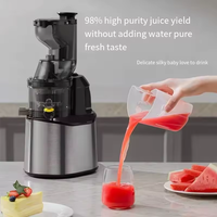 Koudgeperste zelfreinigende 300ml roestvrijstalen elektrische slowjuicer met stekker, voedingsstoffenmolen voor gebruik in de auto