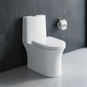 Vente chaude 1 pièces toilette éthiopie populaire Golden Dragon Water Closet S-trap siège de toilette monobloc pour Ehiopia - Product Image 2