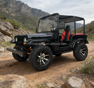 Buggy tout-terrain à essence 200cc pour adultes, puissant, idéal pour <span class=keywords><strong>le</strong></span> désert, la montagne, la ferme, <span class=keywords><strong>le</strong></span> <span class=keywords><strong>ranch</strong></span>, les excursions, les activités de plein air, ATV - Product Image 1