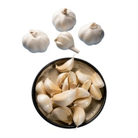 Prix CIF à Valparaiso Chili de l'ail blanc, ail blanc pur chinois frais 4p