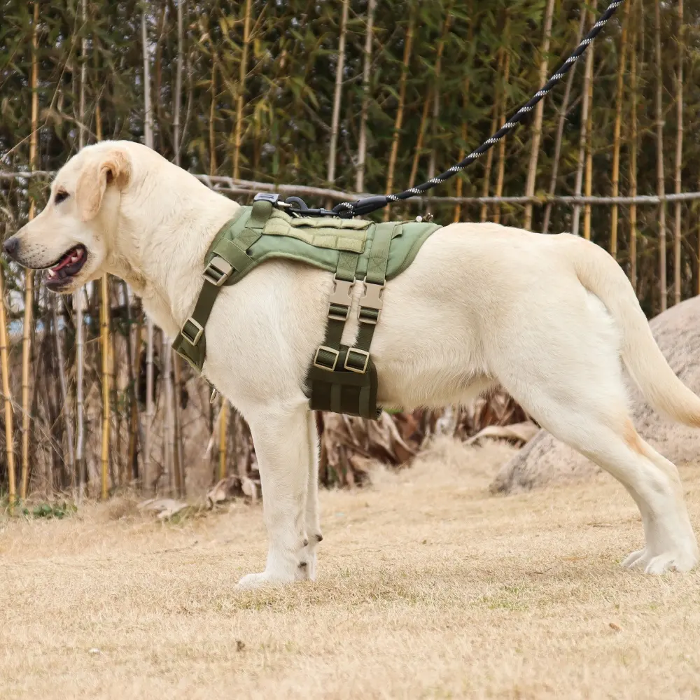 2025 Simple custom logo dog harness adjustable no pull cat vest reflect tactical small tactical pet harnesses